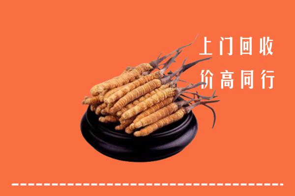 高价求购：北京房山回收散虫草