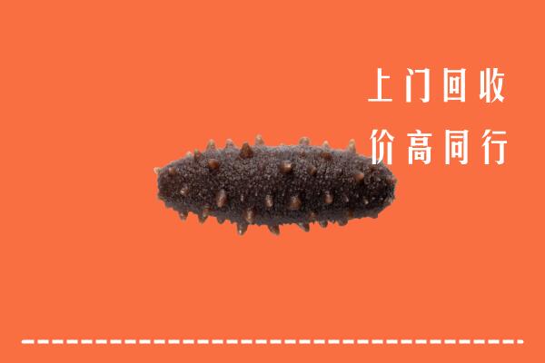 高价求购：北京房山回收海参