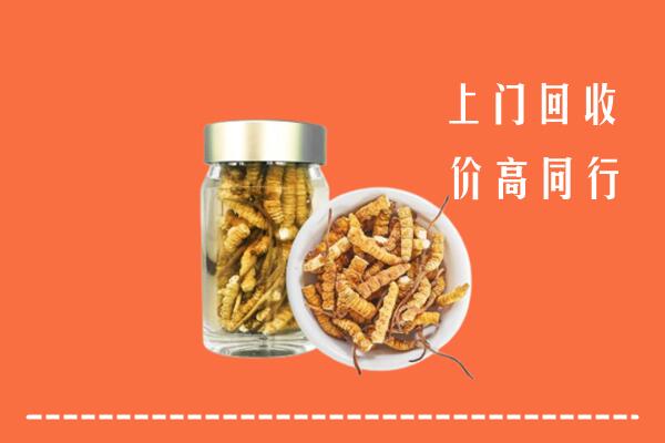 收购行情：北京房山回收冬虫夏草