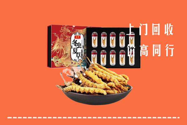 北京房山高价回收虫草